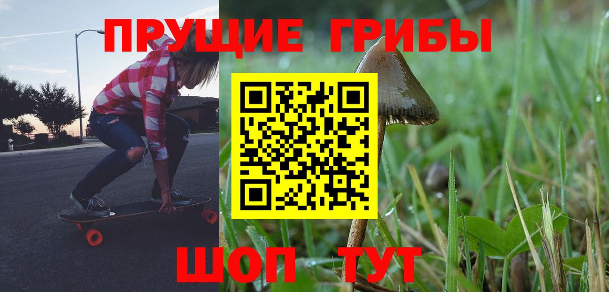 Черняховск  Псилоцибиновые грибы Psilocybe  наркота  Вход с VPN 
